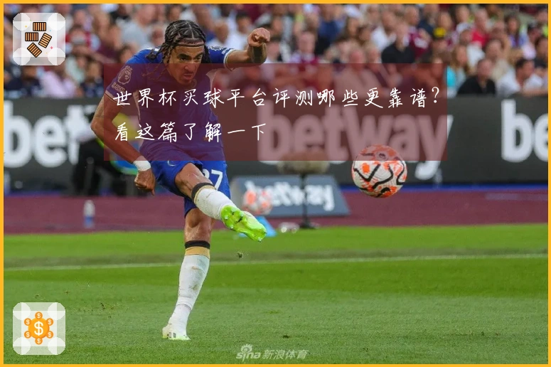 世界杯买球平台评测哪些更靠谱？看这篇了解一下