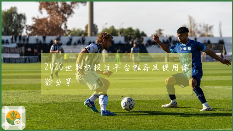 2026世界杯投注平台推荐及使用体验分享