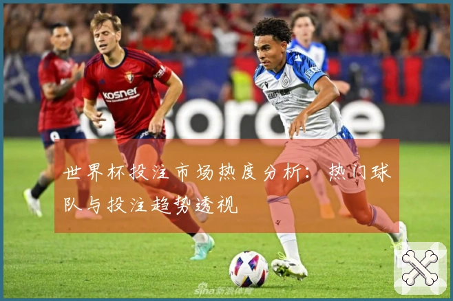 世界杯投注市场热度分析：热门球队与投注趋势透视