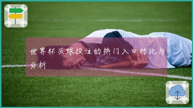 世界杯买球投注的热门入口对比与分析