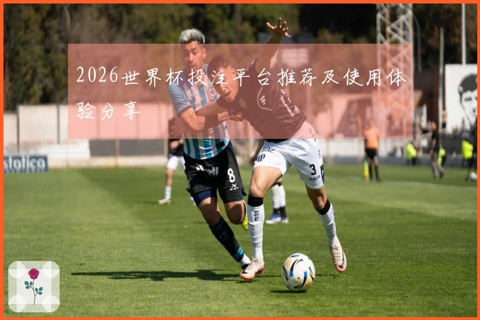 2026世界杯投注平台推荐及使用体验分享