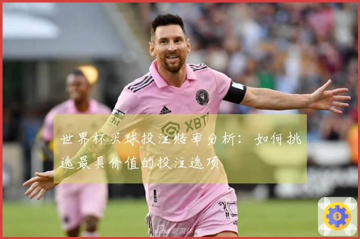 世界杯买球投注赔率分析:如何挑选最具价值的投注选项