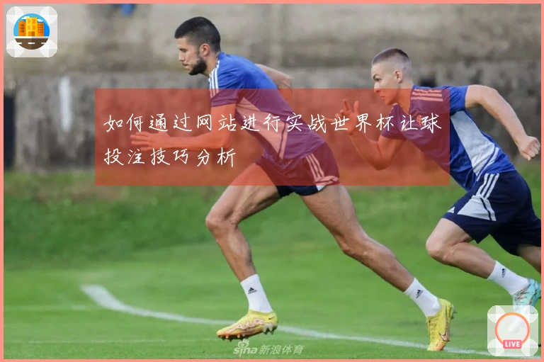 如何通过网站进行实战世界杯让球投注技巧分析