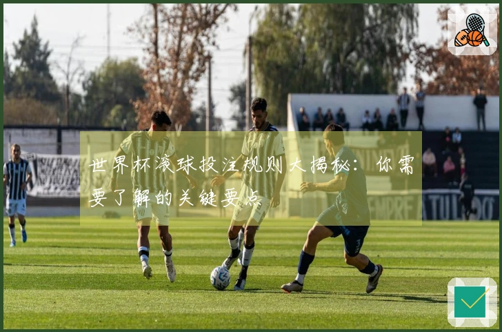世界杯滚球投注规则大揭秘：你需要了解的关键要点