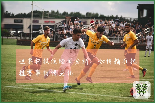 世界杯投注赔率分析：如何精准把握赛事行情变化