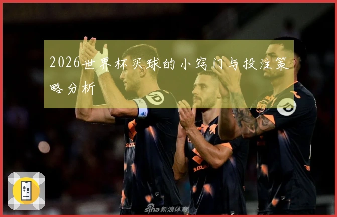2026世界杯买球的小窍门与投注策略分析