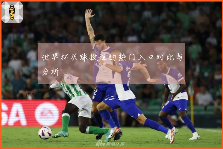 世界杯买球投注的热门入口对比与分析