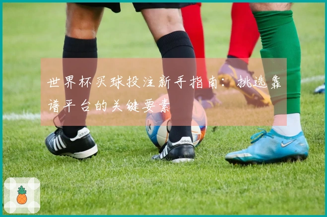 世界杯买球投注新手指南：挑选靠谱平台的关键要素