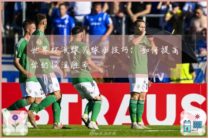 世界杯滚球买球小技巧：如何提高你的投注胜率