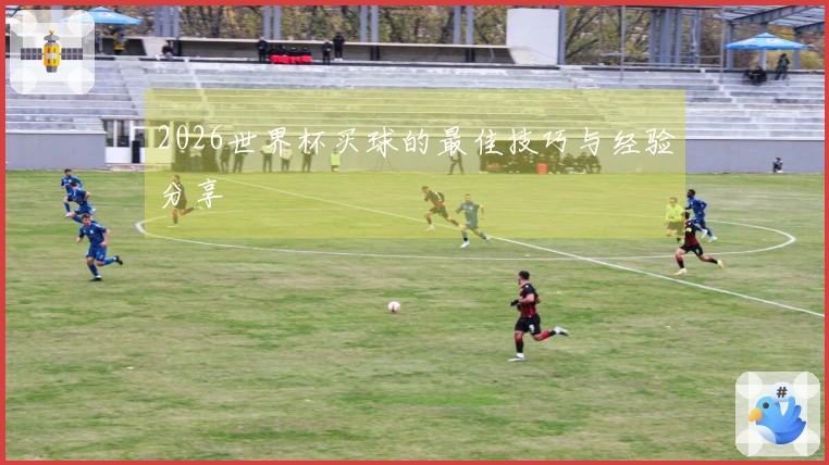 2026世界杯买球的最佳技巧与经验分享