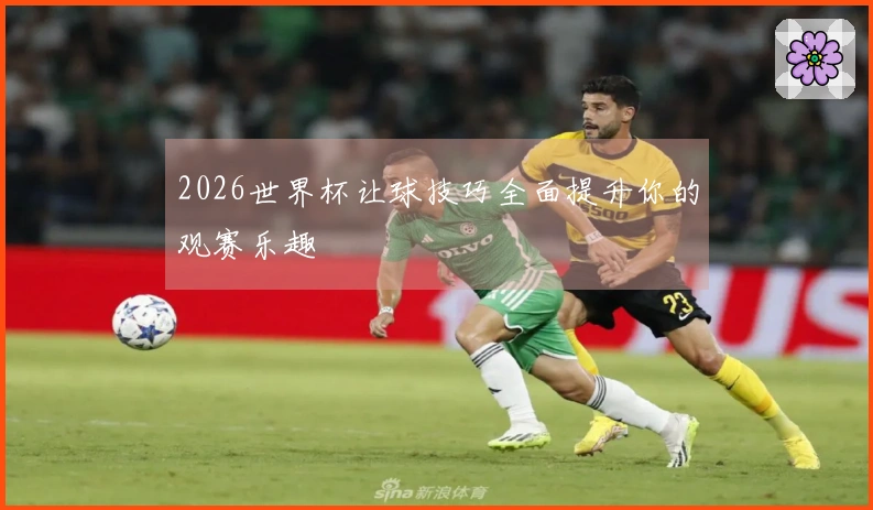 2026世界杯让球技巧全面提升你的观赛乐趣