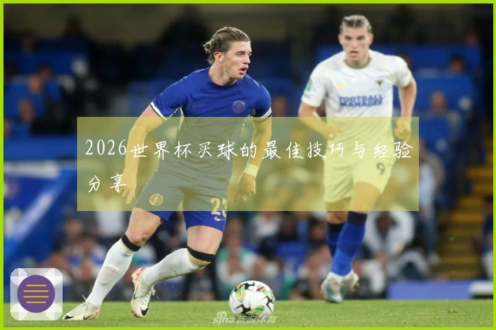 2026世界杯买球的最佳技巧与经验分享
