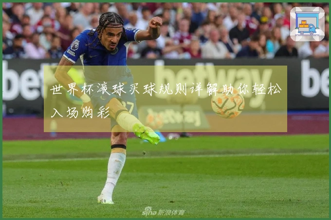 世界杯滚球买球规则详解助你轻松入场购彩